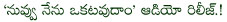 nuvvu nenu okatavudam movie,telugu movie nuvvu nenu okatavudam,nuvvu nenu okatavudam audio released,nuvvu nenu okatavudam producer krishna reddy,nuvvu nenu okatavudam hero ranjeet,nuvvu nenu okatavudam director narasimha reddy